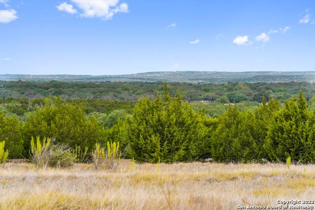 1746 Flat Creek Rd - Photo 1