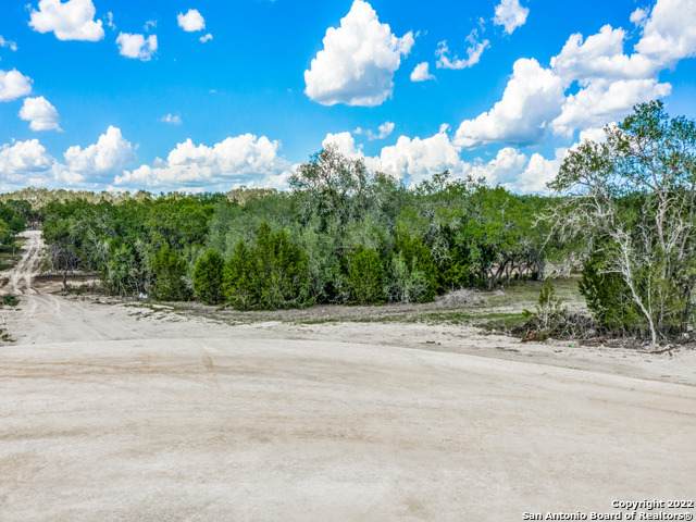 736 Sharp Springs - Photo 1