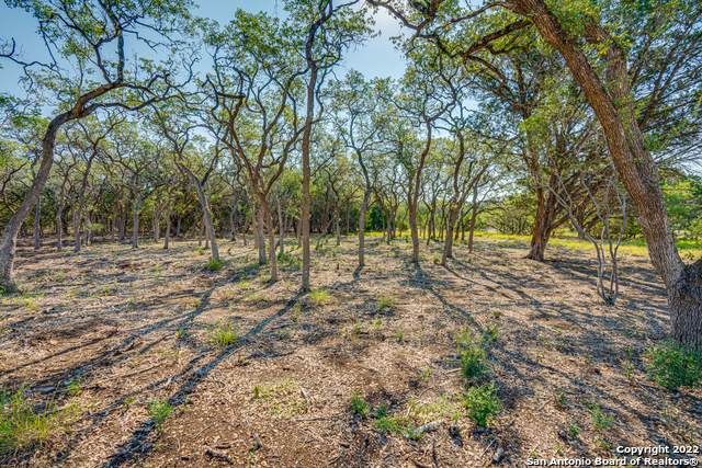 34648 Ansley Ridge Trail - Photo 1
