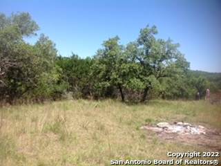 407 B Mountain Spring Dr. - Photo 1