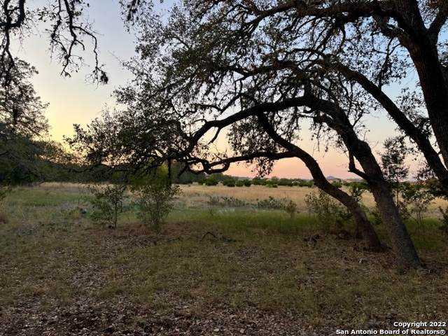 LOT 529 Buckskin Trl - Photo 1