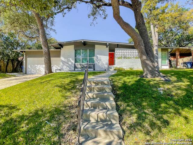 10707 Cedar Elm Dr - Photo 1