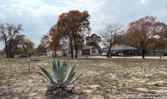 585 Peach Tree Ave - Photo 1