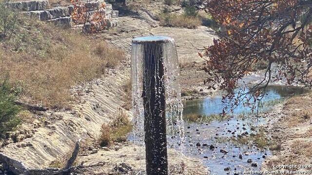 LOT 134 Shapen Springs Rd - Photo 1