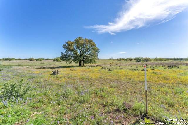 167 Nantan Ln - Photo 1