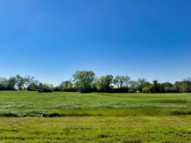 LOT 37 Panther Ridge Drive - Photo 1