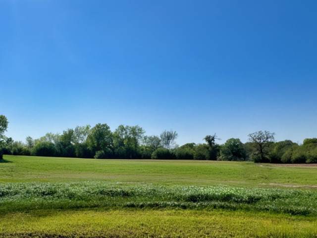 LOT 38 Panther Ridge Drive - Photo 1