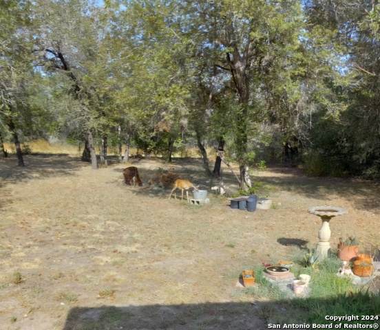 895 Gayle Ln - Photo 1