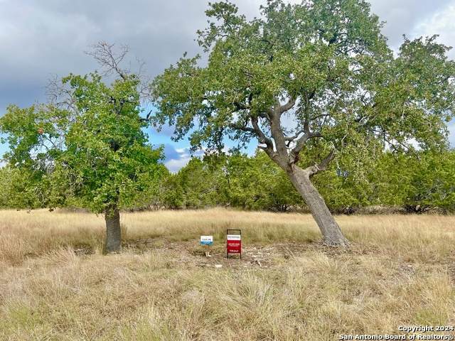 PARCEL 1 Rio Lantana - Photo 1