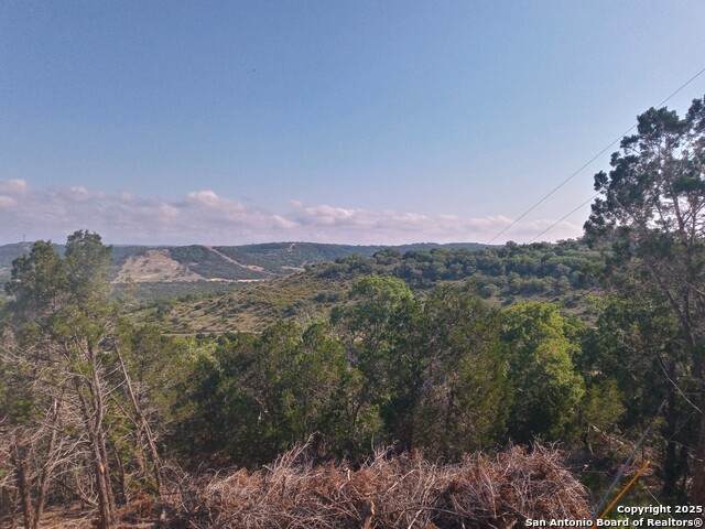 0 Cedar Hill - Photo 1