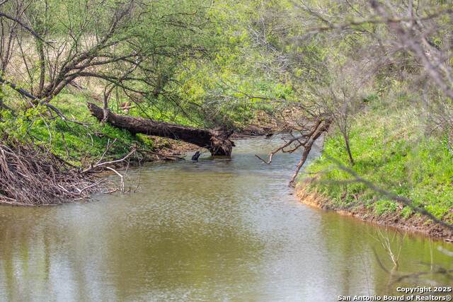 560 Pr Goose Creek Ln - Photo 1