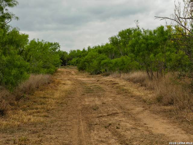 https://bt-photos.global.ssl.fastly.net/sabor/orig_boomver_2_1834432-2.jpg