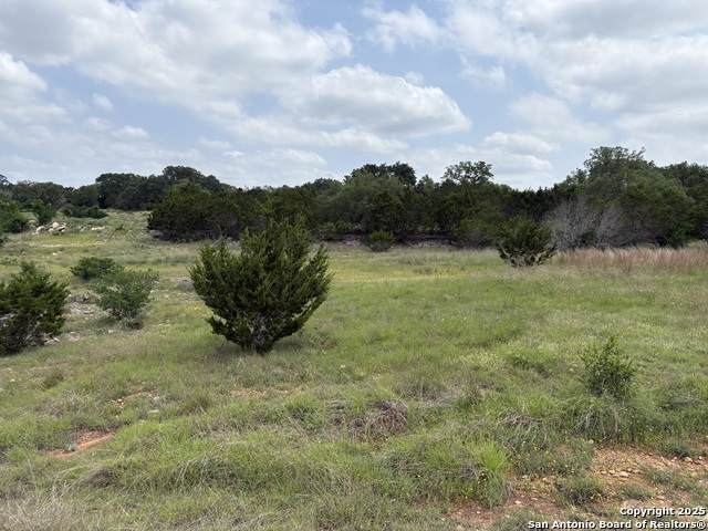 LOT 138 Palomino Springs - Photo 1
