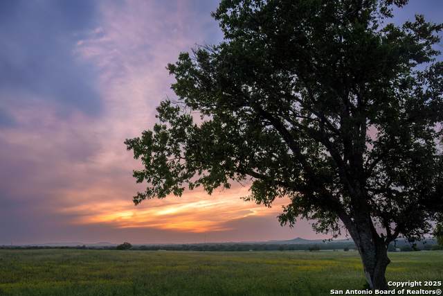 LOT4 Oak Mott Rd - Photo 1