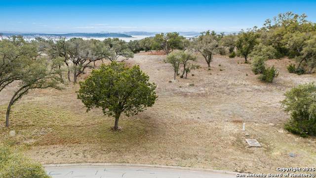 2542 George Pass - Photo 1