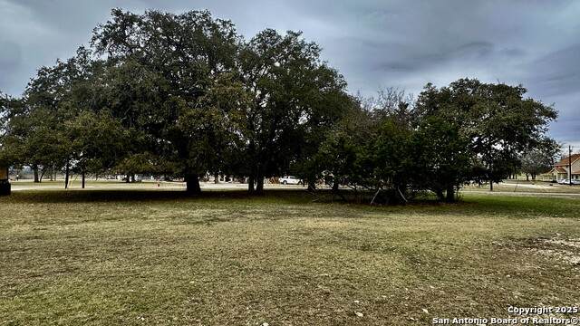 000 Tawny Oak - Photo 1