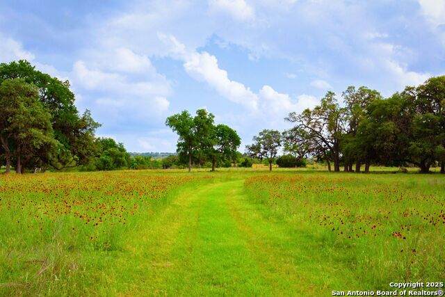 1364 Walnut Springs Rd - Photo 1