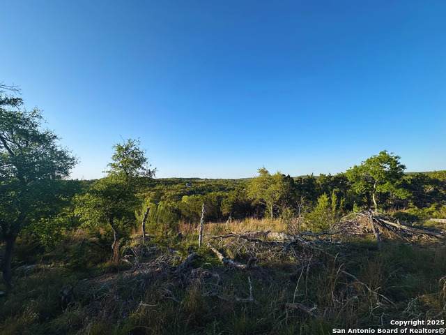 1041 Shepherds - Photo 1