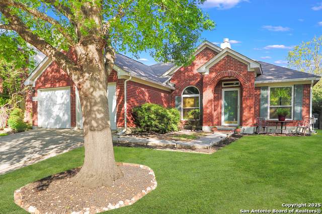 7419 Belmont - Photo 1