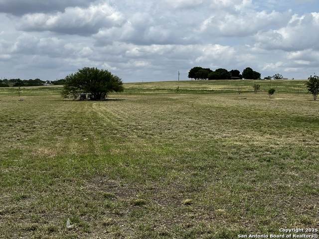 11875 Ware Seguin Rd - Photo 1