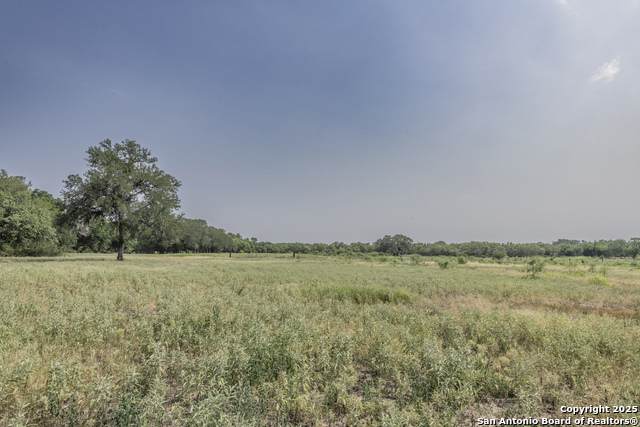 1379 County Road 772 - Photo 1