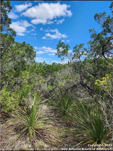 268 Scenic Hills - Photo 1