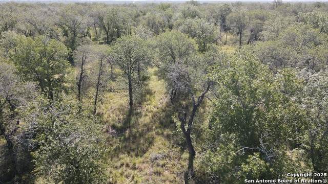 LOT 49 Crestway - Photo 1