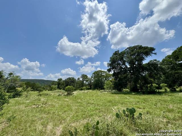 LOT 186 Pr 1712 - Photo 1