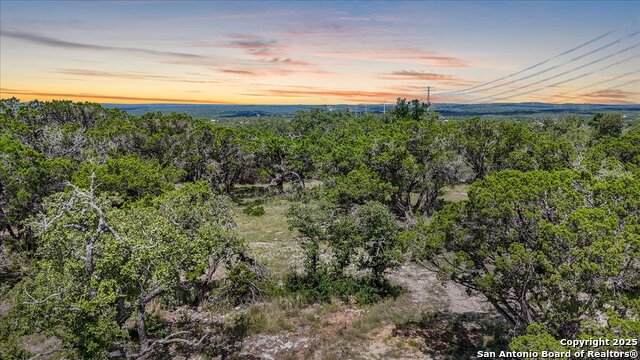 697 Travis Forest - Photo 1