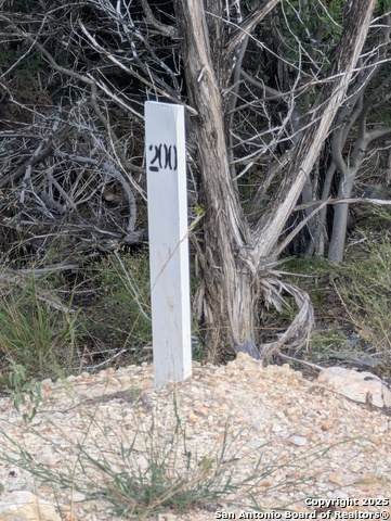 972 Serene Park - Photo 1