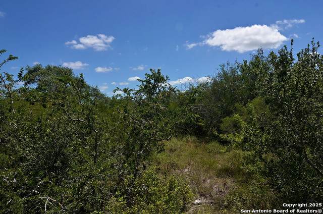 1641 Charco - Photo 1