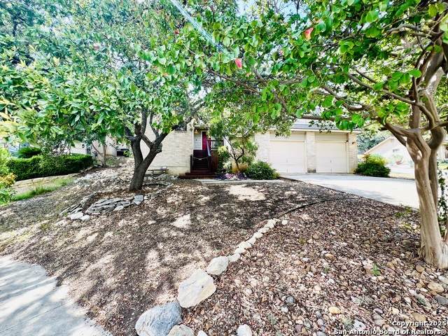 13911 Hohmann - Photo 1