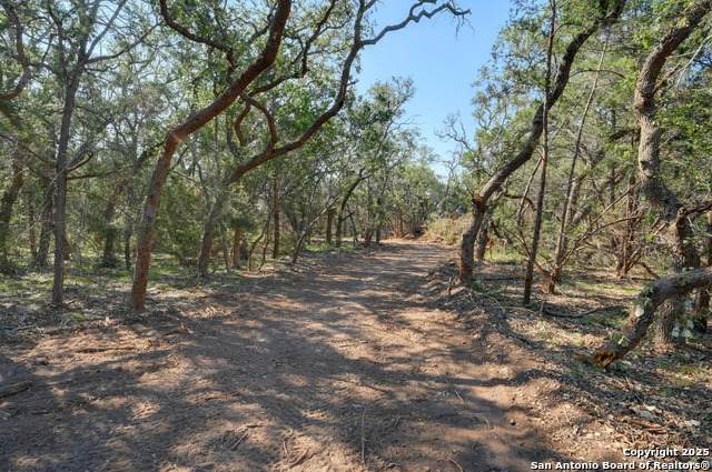 TRACT 2 Pierson Road - Photo 1