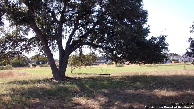 216 Calvin Barrett - Photo 1