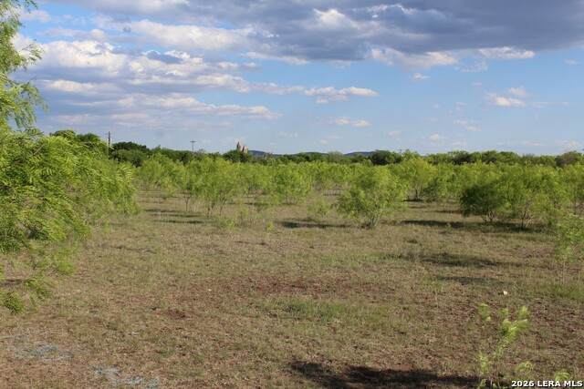 245 County Road 356 - Photo 1