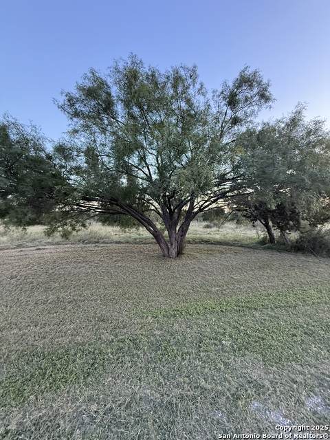 https://bt-photos.global.ssl.fastly.net/sabor/orig_boomver_2_1907925-2.jpg