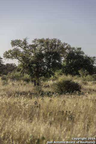 https://bt-photos.global.ssl.fastly.net/sabor/orig_boomver_2_1910338-2.jpg