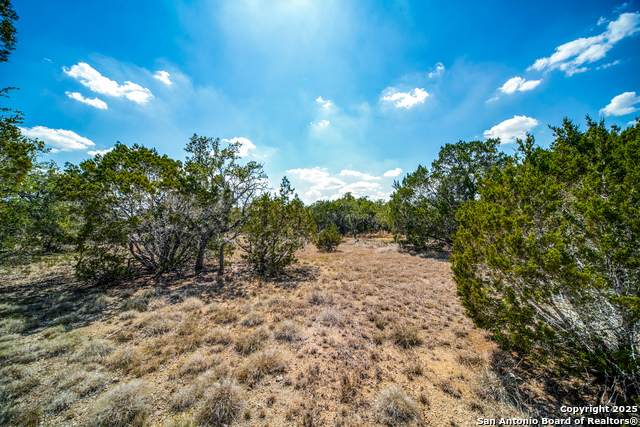 972 Scarlett Ridge - Photo 1