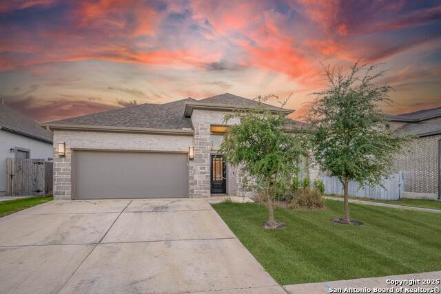 14132 June Flower - Photo 1