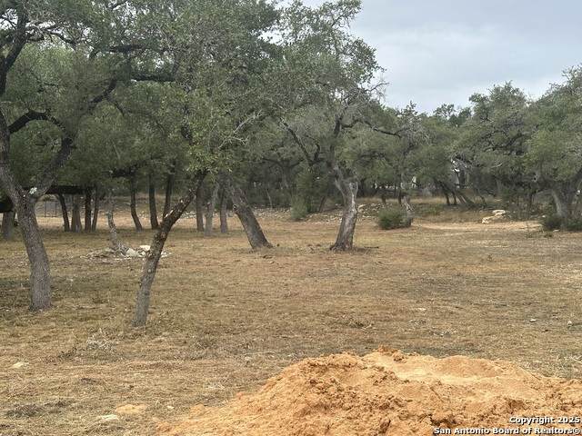 954 Maximino Ridge - Photo 1