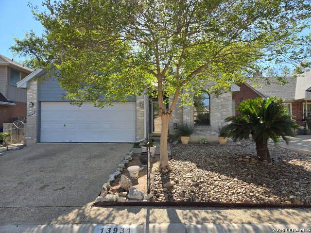 13931 Red Maple Wood - Photo 1