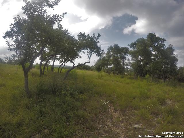 616 Caballo Trail - Photo 1