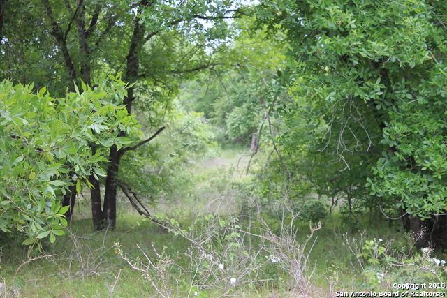 339 Broken Arrow - Photo 1