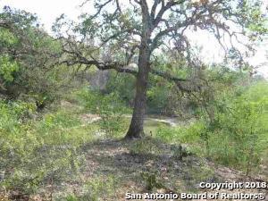 535 Butter Ln - Photo 1