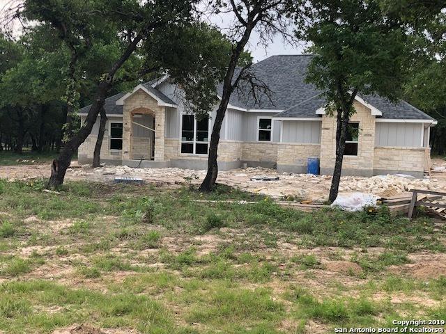 299 Cibolo Ridge Dr. - Photo 1