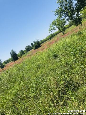 15781 Lupon Rd - Photo 1
