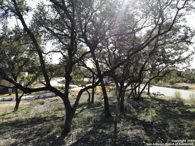 206 Wellesley Wood - Photo 1