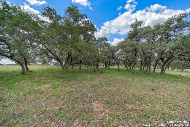 927 Fm 473 - Photo 1