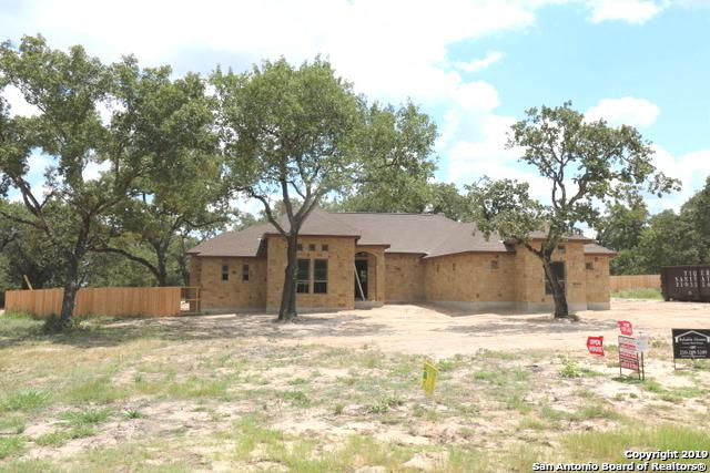 127 Cibolo Ridge Dr - Photo 1