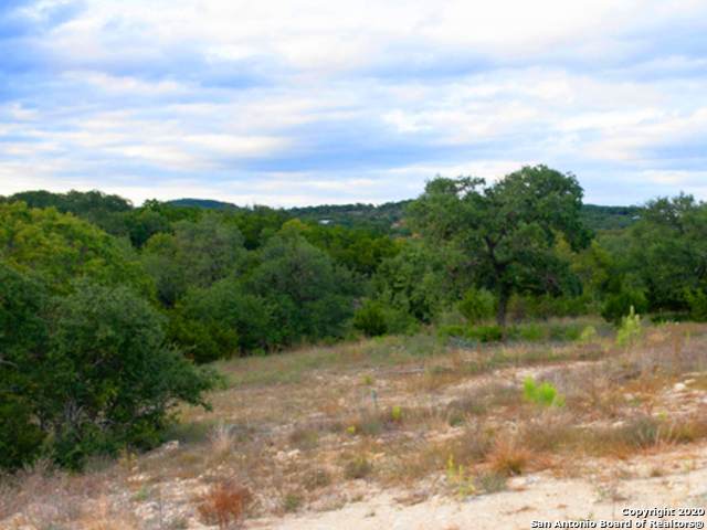 10123 Kendall Canyon - Photo 1